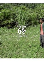 A Cigarette Taiwanese Movie photo