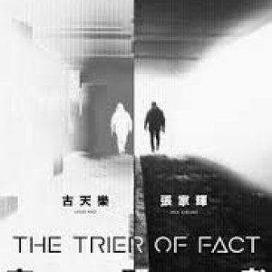 The Trier of Fact ()