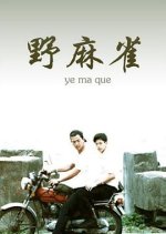 Too Young Taiwanese Movie(1999) photo