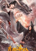 Real and Fake Ji Gong Chinese Movie photo