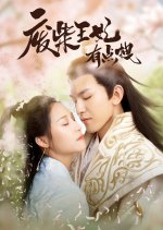 Fei Chai Wang Fei You Dian Zhuai Chinese Drama photo