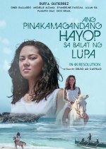 The Most Beautiful Animal in the World