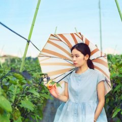 Lonely Glory Japanese Movie photo