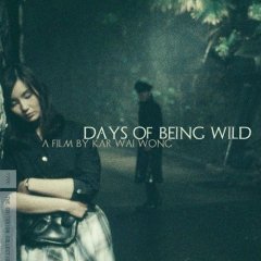 Days of Being Wild Hong Kong Movie photo