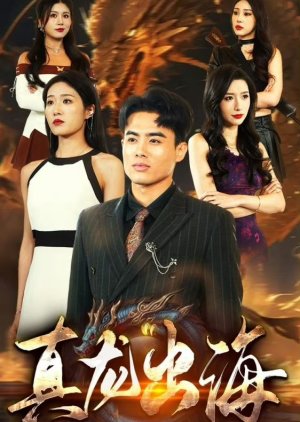 Zhen Long Chu Hai (2024) poster