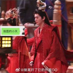 Love of the Divine Tree (2024) photo