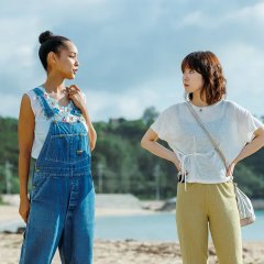 Fence Japanese Drama photo