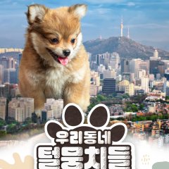 Our Neighborhood Furballs Korean TV Program photo