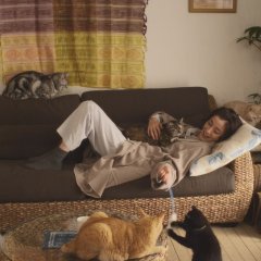 Guu Guu, the Cat Japanese Drama(2014) photo