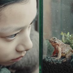 Where Love Goes Japanese Movie photo