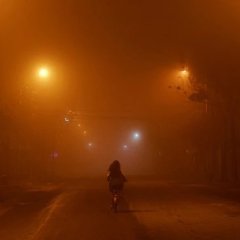 The Foolish Bird Chinese Movie photo