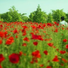 Consolation Korean Movie photo