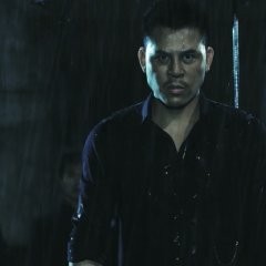 The Bodyguard Chinese Movie(2016) photo