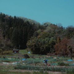 The Promise: The Truth from 16 Years Ago Japanese Drama photo