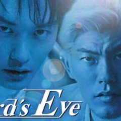 Bird's Eye Japanese Movie photo