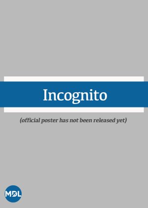 Incognito () poster