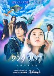 Wonderhatch: Soratobu Ryu no Shima japanese drama review