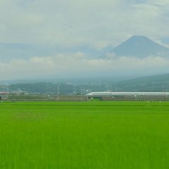 Chihayafuru Part 2 Japanese Movie photo