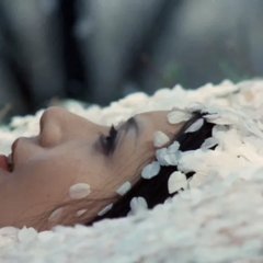 Under the Blossoming Cherry Trees Japanese Movie photo