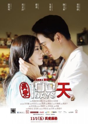 100 Days (2013) poster