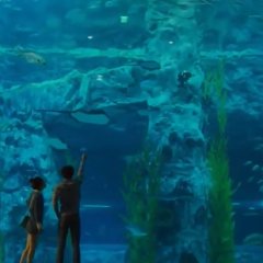 Catman Chinese Movie photo