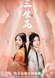 A Flower for Three Lifetimes chinese drama review