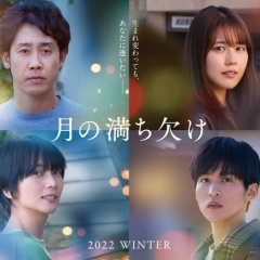 Phases of the Moon (2022) photo