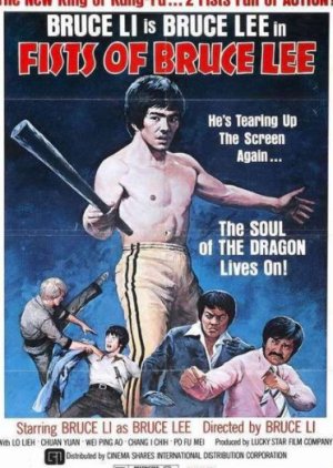 Fists of Bruce Lee (1979) poster