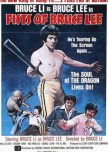 Fists of Bruce Lee