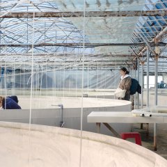 ZOEA Korean Movie photo