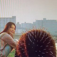 Hari-kei Japanese Drama photo