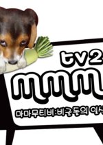MMMTV2 Korean TV Program photo
