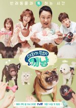 Dear My Human Korean TV Program photo