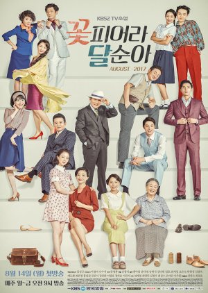 TV Novel: Dal Soon's Spring (2017) poster