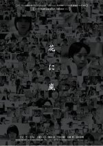 The Blooming Japanese Movie photo
