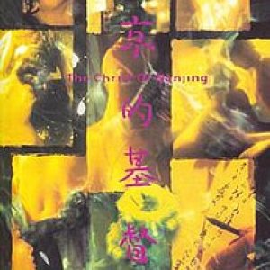 The Christ of Nanjing (1995)