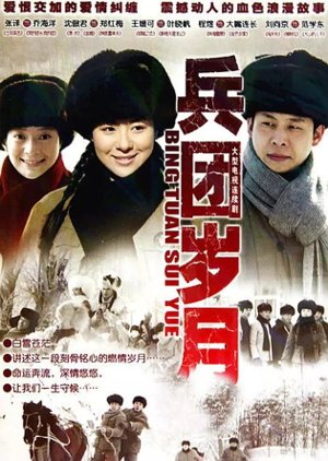 Bing Tuan Sui Yue (2010) poster