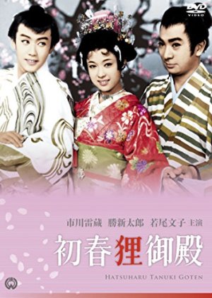 Enchanted Princess (1959) poster
