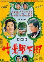 The Graduate from the Country Taiwanese Movie photo