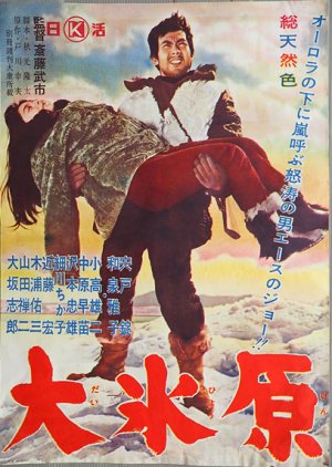 Dai Hyogen (1962) poster
