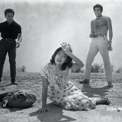 Garasu no Joni: Yaju no Yo ni Miete Japanese Movie photo