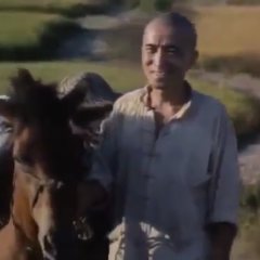 Ju Dou Chinese Movie photo