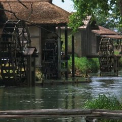 Dreams Japanese Movie photo