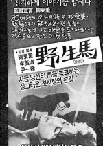 Wild Horse Korean Movie photo