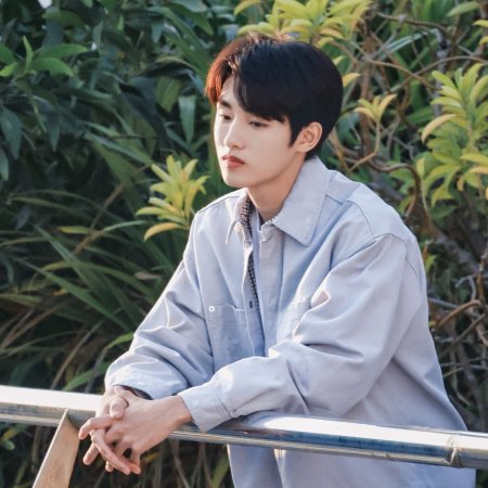 Sunshine through the Rain ()