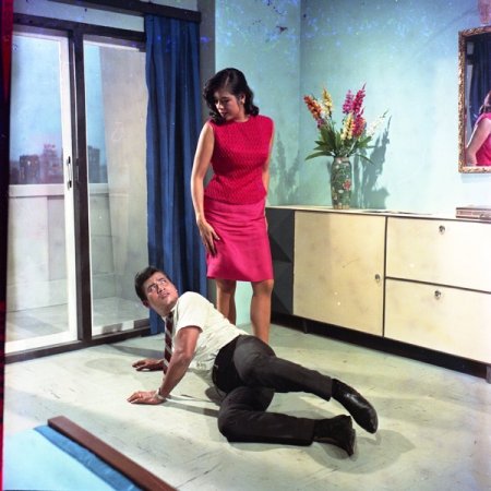 Operation Revenge (1967)