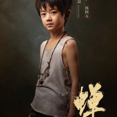 The Cicada's Song Chinese Drama(2026) photo