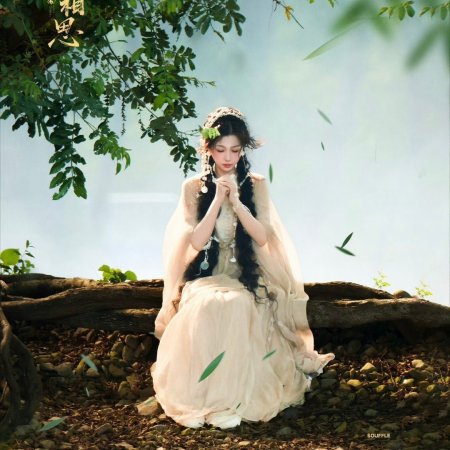 Chang Sheng Gu ()