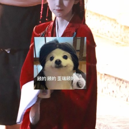 Ju Jing Yi