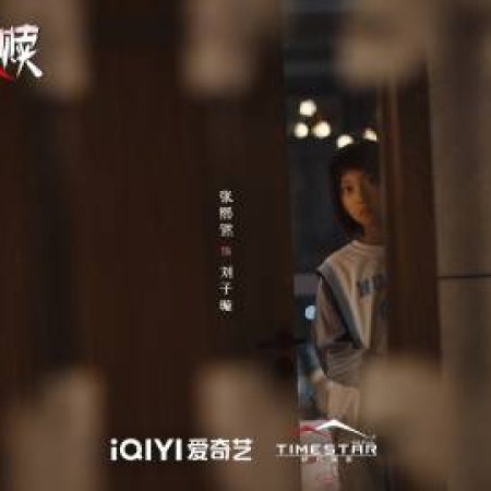 The Perfect Suspect (2025)